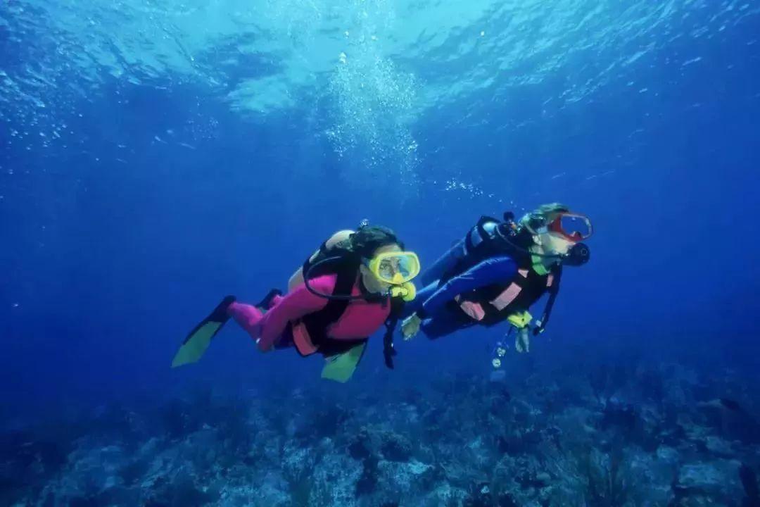 全省经济犯罪预警 | 防范易发经济犯罪风险 谨防“春节”变“春劫”
